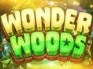 Игровой автомат Wonder Woods – Чудо Леса ждет в казино Pin Up
